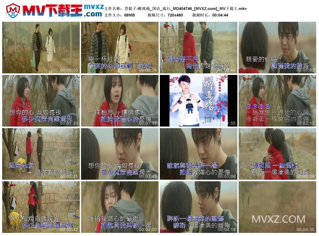 菩提子-醉离殇_国语_流行_MD404746